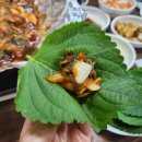 충남곰장어