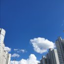 물봉도원 | 8세 2주 자가격리 후기