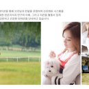 전생에인연펫 이미지