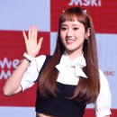 세이리본 이미지