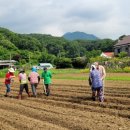 호박손마을 이미지