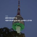 [광장시장/남산타워] 서울이 한눈에 담기는 순간, 남산에서 느낀 여유