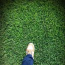 제일골프스쿨 이미지