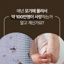 라이즈원 네이버블로그
