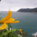 아름다운요트민박 이미지