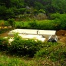 여주-0373 Daum카페