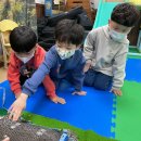 아침해유치원 이미지