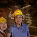 천곡황금박쥐동굴 이미지