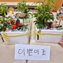 서서울어르신복지관 | 서서울어르신복지관 노인원예 독거노인프로그램