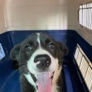 양장축산 이미지