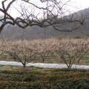 주일농장 이미지