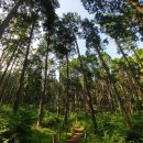 주식회사 첨단환경 이미지