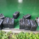 대산태양광발전소 이미지