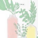 마더하우스 이미지