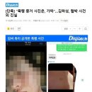 [단독] "폭행 증거 사진은, 가짜"…김하성, 협박 사건의 진실 (디스패치) 이미지