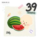 [임신기록] 임신일기 임신말기 임신후기증상 임신 39주차 ( 39주 4일차 이슬이 비치다 )