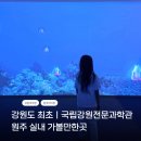 2790 | 원주 아이와 가볼만한곳 국립강원전문과학관 여름방학 체험전 미래동물 과학수사전 추천