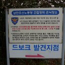 제주 올레길 6코스 이미지