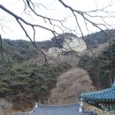 11215-자양2-013 | 비슬산의 두 성인, 관기와 도성