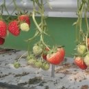 세은농장 이미지