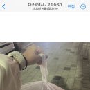 회1984 이미지
