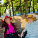 부천중앙센터 | 부천 주간보호센터 추천, 어르신들과 함께한 부천 중앙공원 감동 나들이 후기