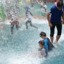 와와공원 이미지