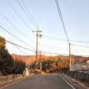 스테이 밤부 이미지