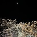 지에스25동학사입구점 이미지