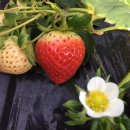 호반농장 이미지