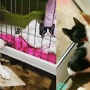 산책길에 이미지