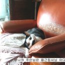 (주)행운식품 이미지