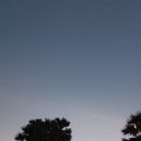 바이욘샵
