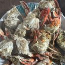 어부 살꽃게 이미지