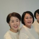 인셀덤미소 - 동대문구 사가정로 80 | 인셀덤미소