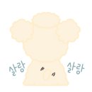 포리애견 이미지