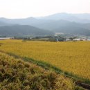 곡성농협 삼기주유소 이미지