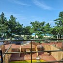 207마일 | 울진: 207마일 펜션 1박 2일 후기, 여름밤이면 생각나는 곳