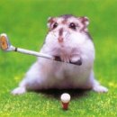 마니마니 이미지