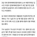 김수민 “문체부, 음원사재기 의혹 늑장조사”…지니뮤직만 자료 제출 이미지