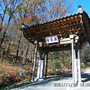 덕송천 이미지