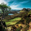 멍도시락 이미지