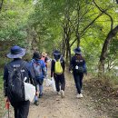 무주읍144 이미지