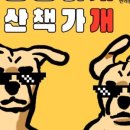 산속애견 이미지