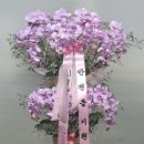 (주)덕양에너젠 이미지