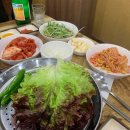 기수백서 이미지