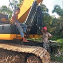 공범농장 이미지