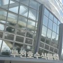 상동호수공원 | 지금이 딱! 벚꽃 만개한 상동호수공원 수피아식물원 나들이 후기 🌿