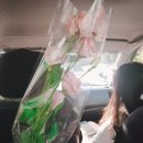 온더플라워 | [천안 유량동] 온더플라워(On The Flower) : 천안 도심 벗어나 여유를 즐겨보자♬