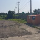 표선리-2 이미지